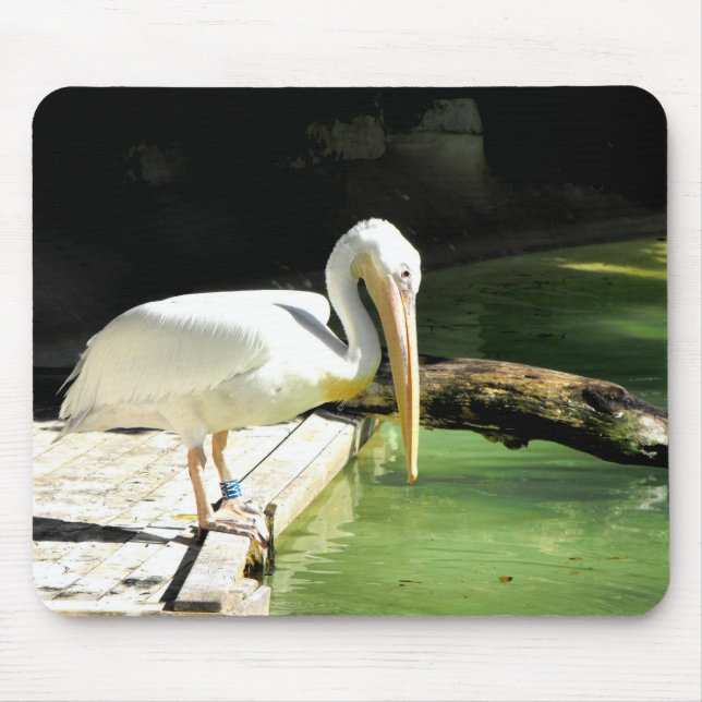 Pelican bird mouse mat (Front)