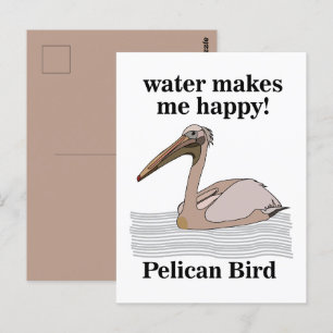 Pelican Bird Postcard