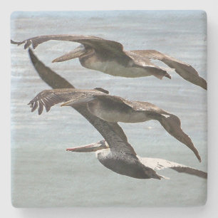 Pelican Bird Wildlife Beach Animal Stone Coaster