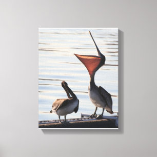 Pelican Birds Wildlife Animals Beach Canvas Print