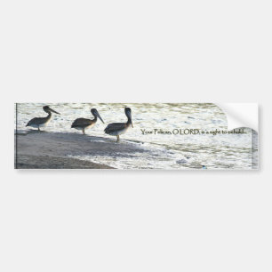Pelican Birds Wildlife Animals Bumper Sticker