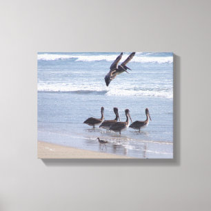 Pelican Birds Wildlife Animals Ocean Canvas Print