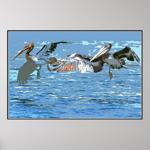 Pelican Birds Wildlife Animals Poster