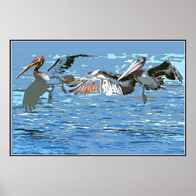 Pelican Birds Wildlife Animals Poster (Front)