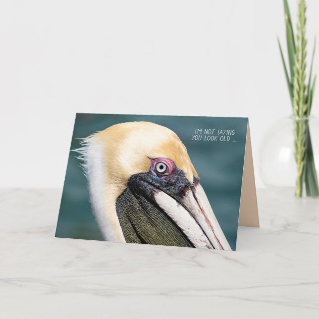Pelican birthday humour card (Front)