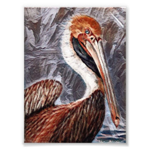 Pelican Brief Photo Print