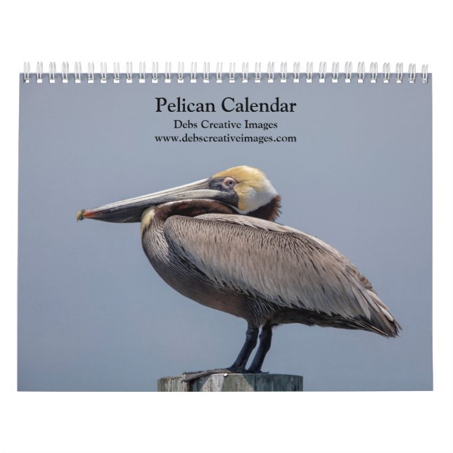 Pelican Calendar 2026 (Cover)