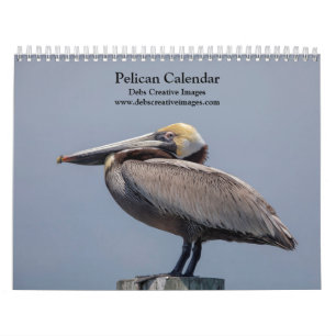 Pelican Calendar 2026