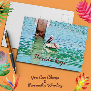 Pelican Chilling In The Florida Keys Ocean Postcard