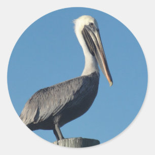 Pelican Classic Round Sticker