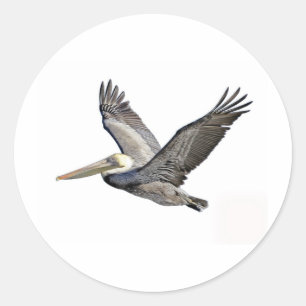 Pelican Clear Classic Round Sticker