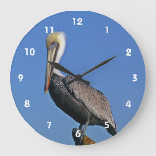 Pelican Clock