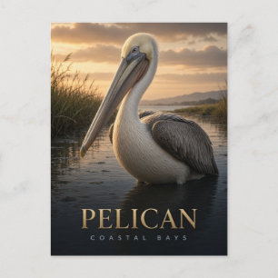 Pelican Coastal Bays Wildlife ANIMAL Postcard