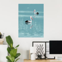 Pelican Couple Paddling on Calm Aqua Water