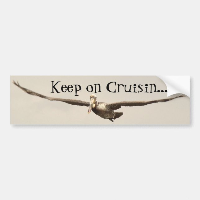 Pelican Cruising Bumper Sticker (Front)