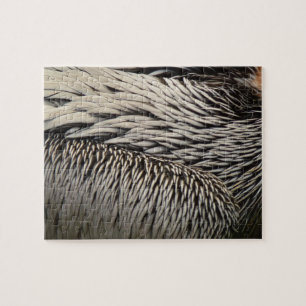 Pelican Feathers Abstract Nature Photography Jigsaw Puzzle