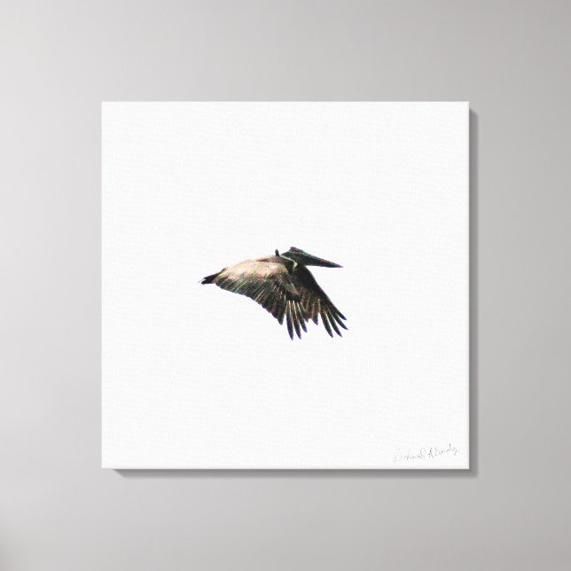 Pelican Flight | Ft. Myers, FL | 24x24 Canvas (Front)