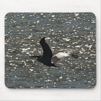Pelican Flying Over Shimmering Lake Bafa Mouse Mat