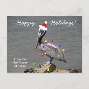 Pelican getting ready for Christmas Holiday Postcard