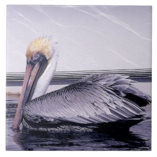 Pelican Gliding Tile