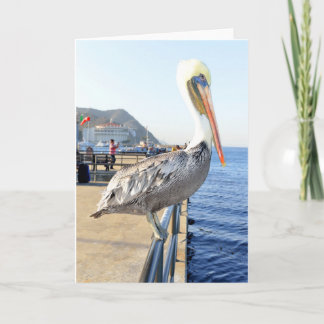 Pelican Greeting Card