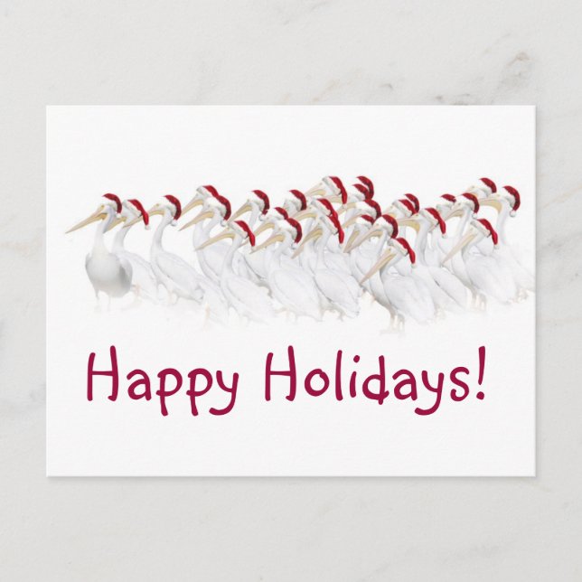 Pelican Happy Holidays Postcards! Holiday Postcard (Front)