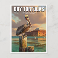 Pelican in Dry Tortugas National Park