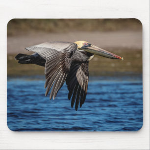 Pelican in flight mouse mat