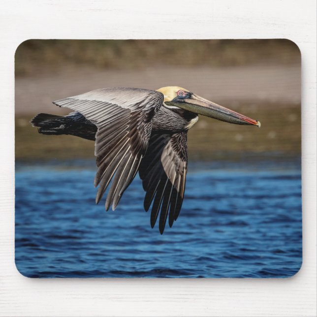Pelican in flight mouse mat (Front)