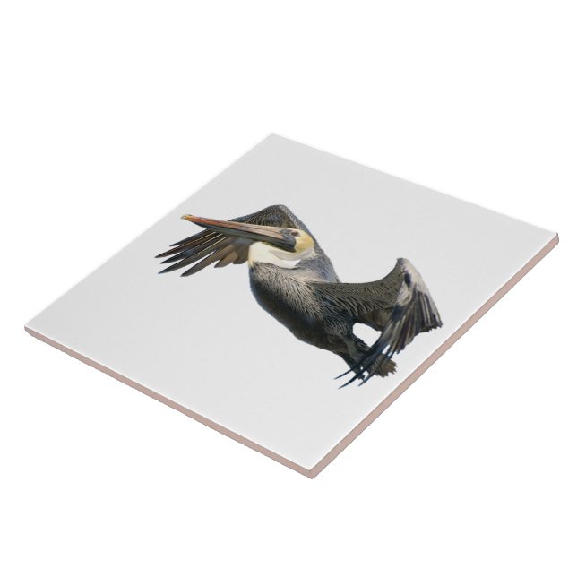 Pelican in Flight Tile (2) sizes (Side)
