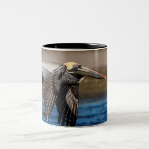 Pelican in flight Two-Tone coffee mug