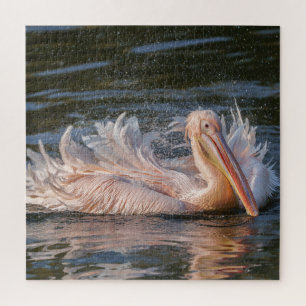 Pelican in Motion Jigsaw Puzzle