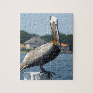 PELICAN JIGSAW PUZZLE