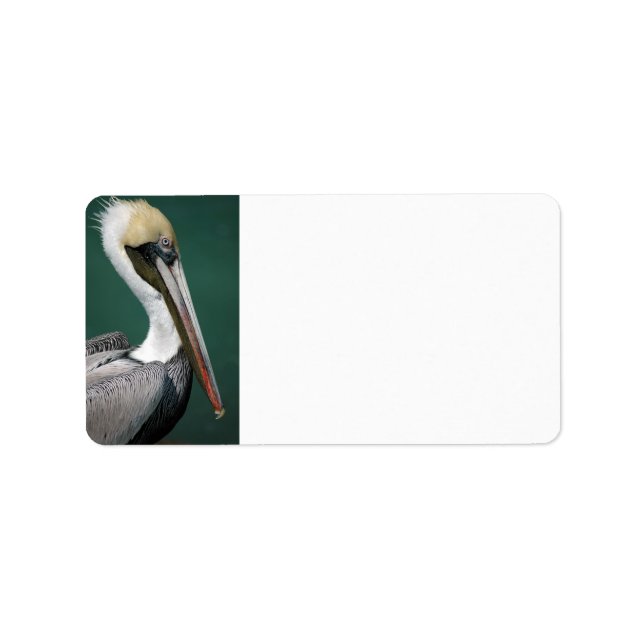 Pelican Label (Front)