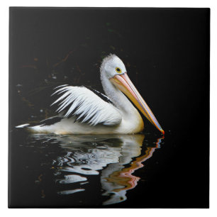 Pelican, large white bird, tile