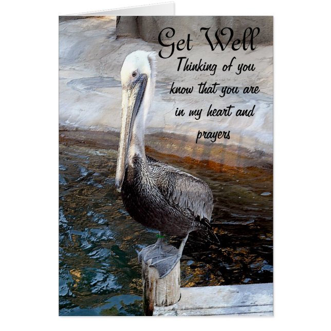 Pelican Love,-Occasions_ (Front)