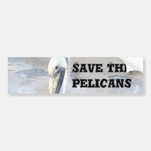 Pelican Love,-Occasions_ Bumper Sticker