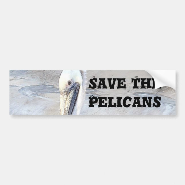 Pelican Love,-Occasions_ Bumper Sticker (Front)