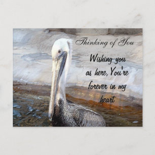 Pelican Love,-Occasions_ Postcard