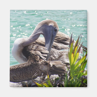 Pelican Magnet