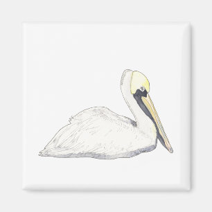 Pelican Magnet