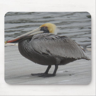 Pelican Mouse Mat