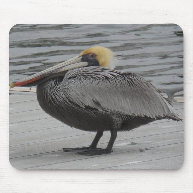 Pelican Mouse Mat (Front)