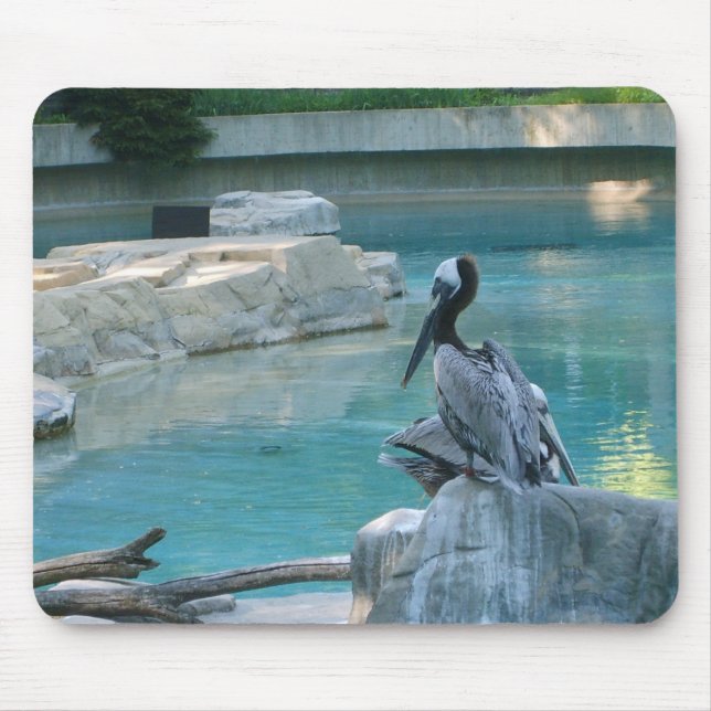 Pelican Mousepad (Front)