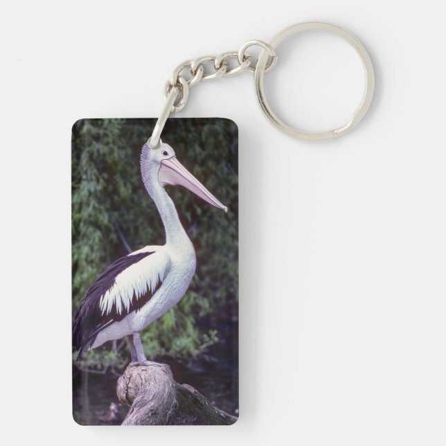 Pelican on a branch, Tasmania - Australia Key Ring (Back)