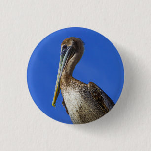 Pelican on a limb button