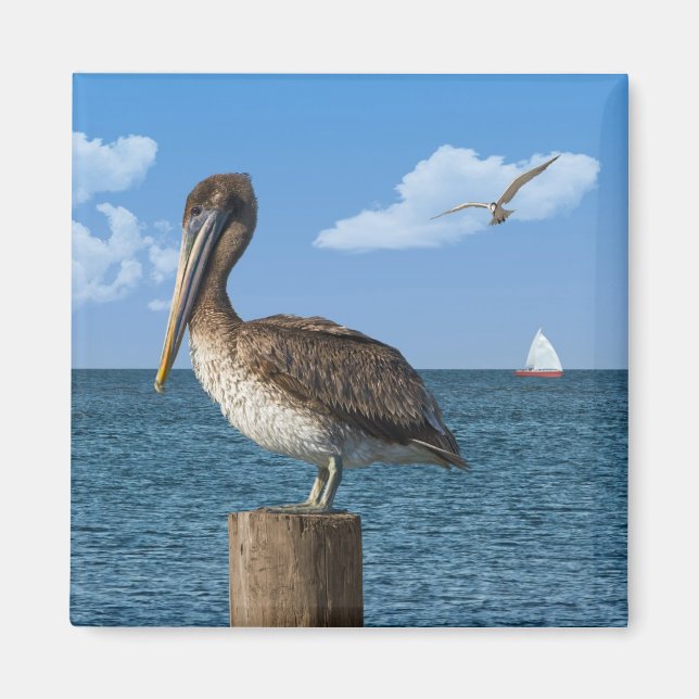 Pelican on a Post Magnet (Front)