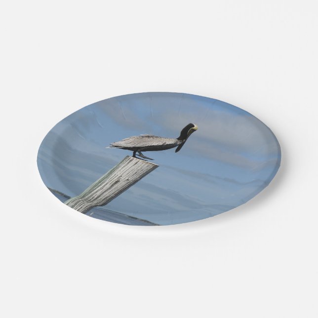 Pelican on a Post Paper Plates (Angled)