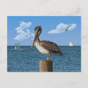 Pelican on a Post Postcard