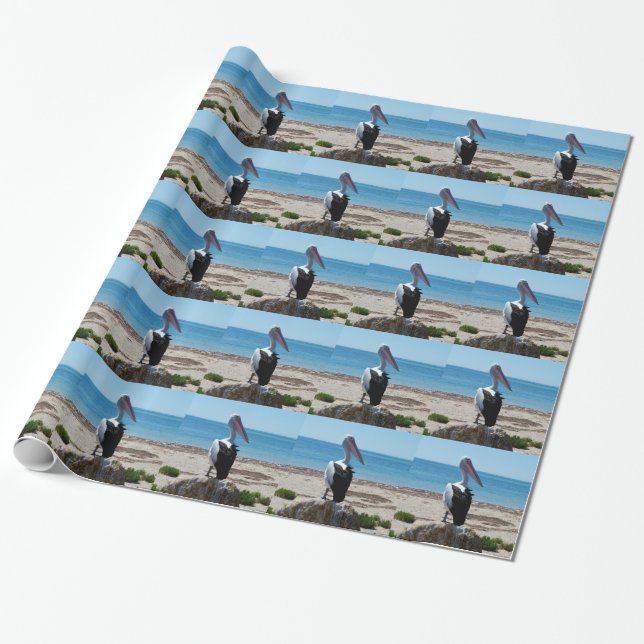Pelican On Beach Rock, Wrapping Paper (Unrolled)